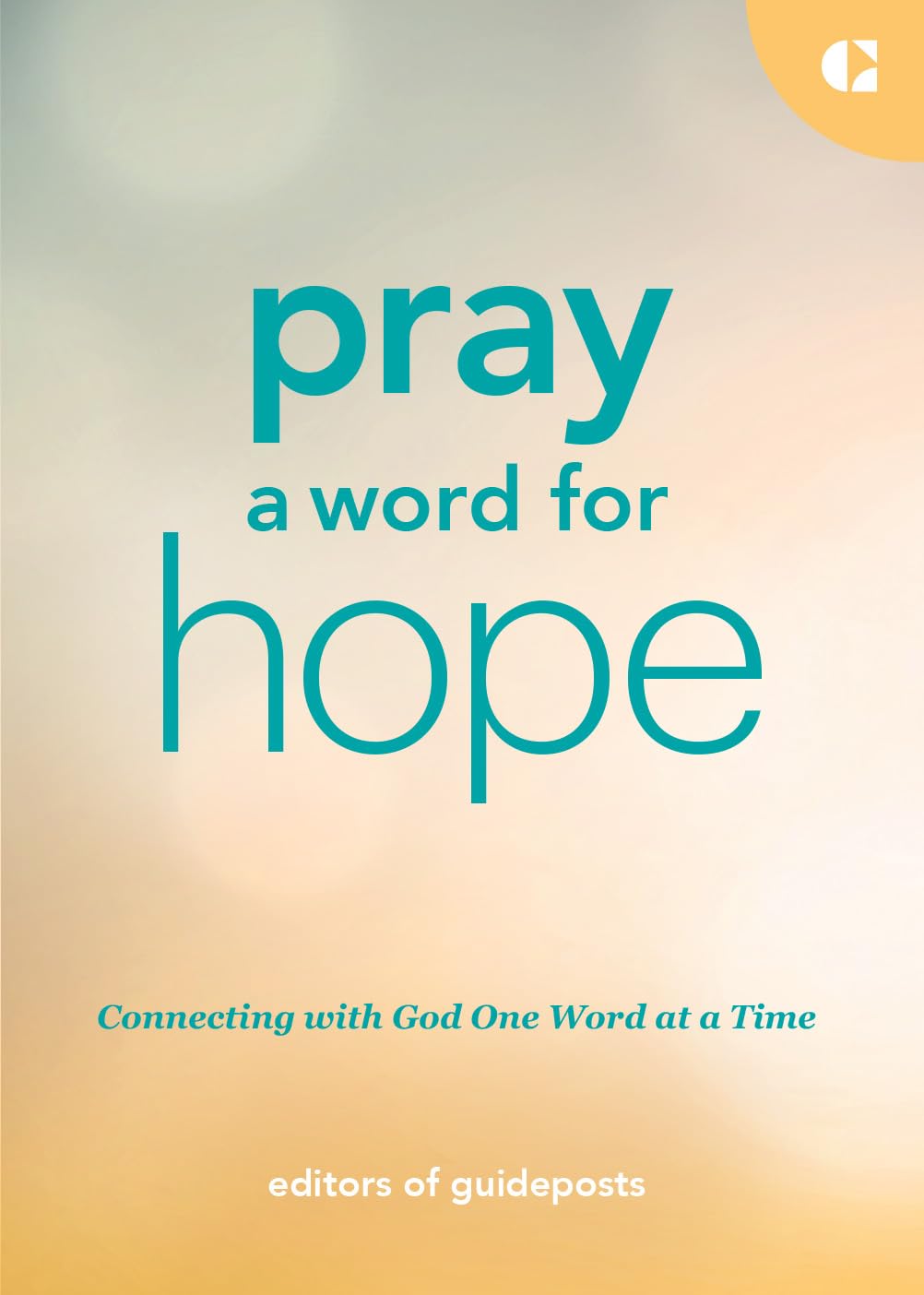 Pray a Word for Hope by Becky Van Vleet